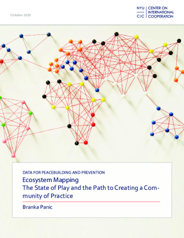 Cover of Ecosystem Mapping by Branka Panic