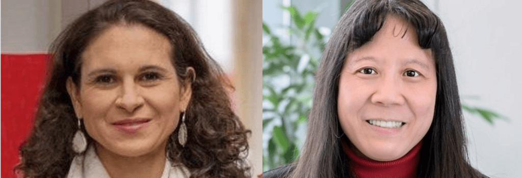 Dominici & Lin Elected to National Academy of Medicine