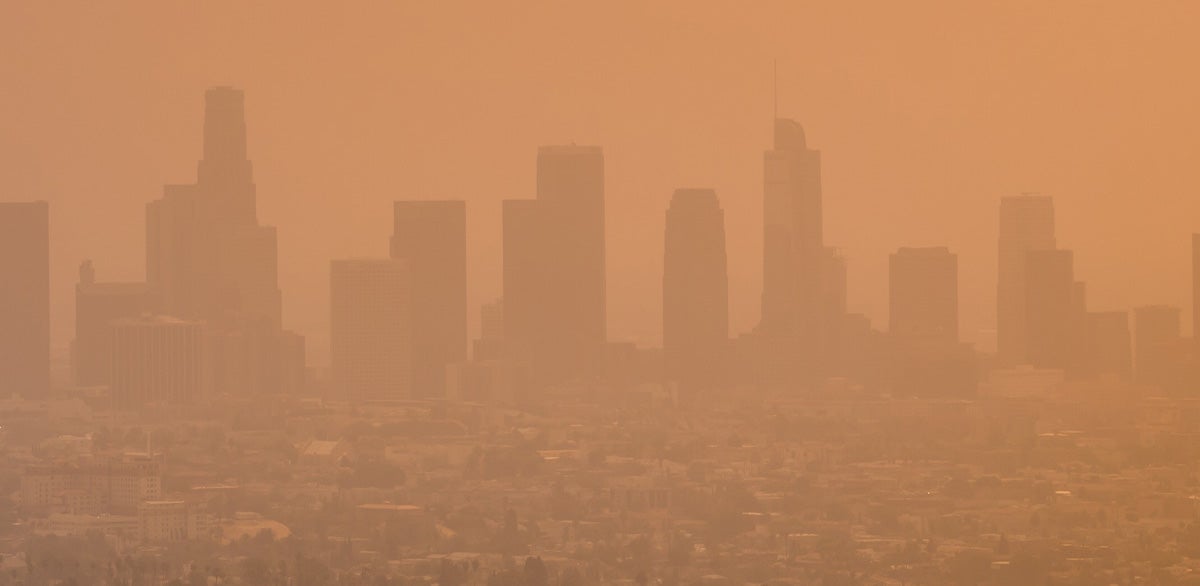 More Evidence of Causal Link Between Air Pollution and Early Death