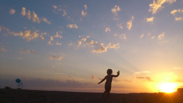 Child flying kite in sunset