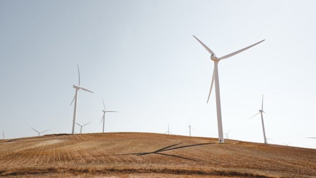 Wind turbines in a field in front of a gray sky.