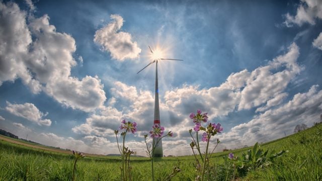 A wind turbine with the sun and clouds behind it. Flowers in the foreground.