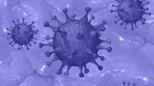 purple virus cell