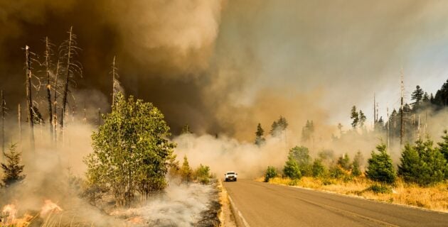 Car drives down a highway through a wildfire