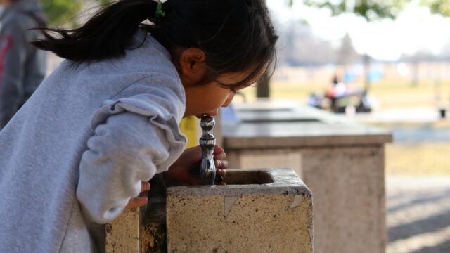 A young girl drinks from a water fountain in a park
