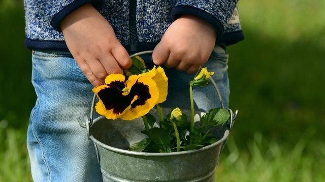 A child holds a pail with a pansy growing out of it
