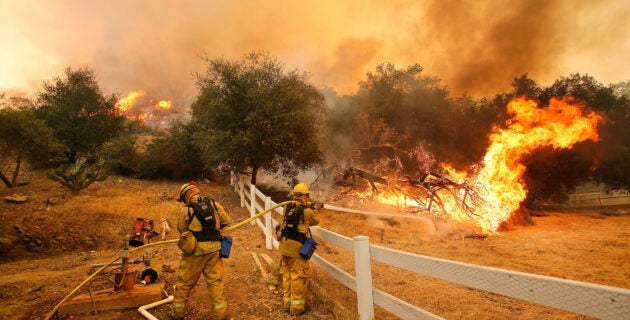 Firefighters from Stockton, Calif. put out flames off of Hidden Valley Rd. while fighting a wildfire