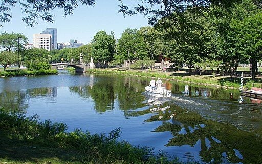 A summer day on the Charles River Esplanade, Boston, MA