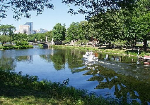 A summer day on the Charles River Esplanade, Boston, MA