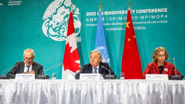 Leaders at the 2022 UN Biodiversity Conference