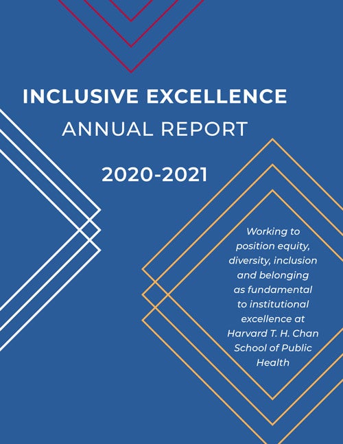 Report cover for Inclusive Excellence
