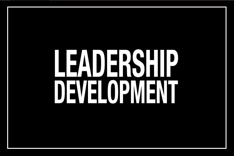 Leadership Development (Infographic)