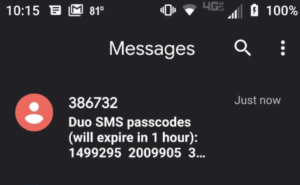 Option 3. Duo will send a text message with passcodes to the smart phone that you have set up in your Duo account.