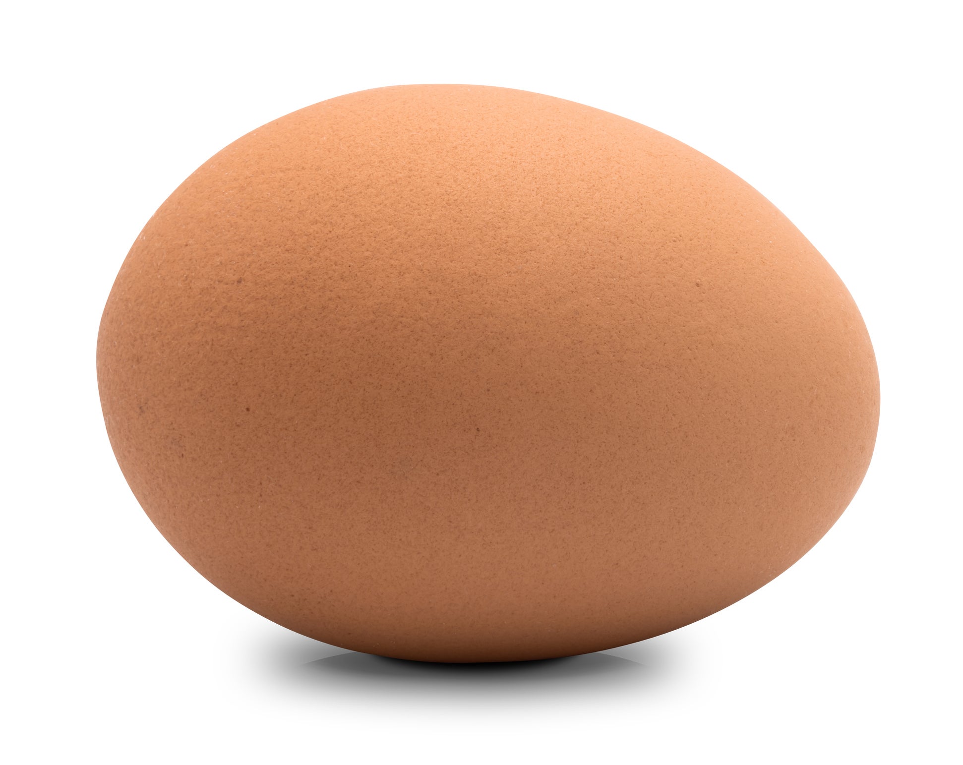 egg with brown shell
