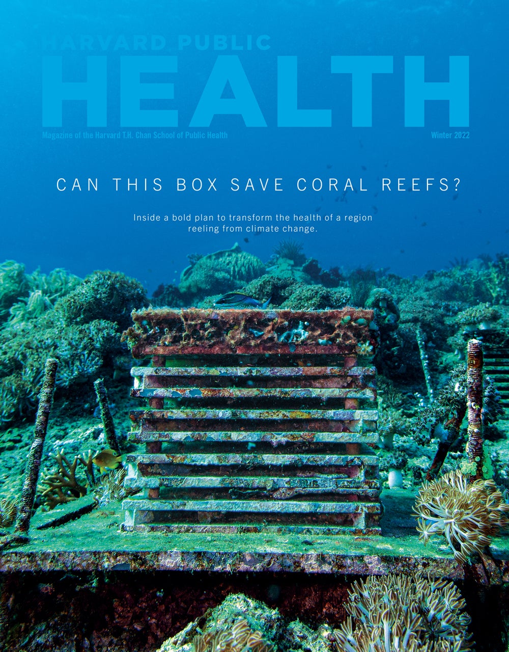 A photo of the ocean floor shows an autonomous reef structure surrounded by oceanic foliage and plants, fish and lichen. The cover line says "Can this box save coral reefs?"