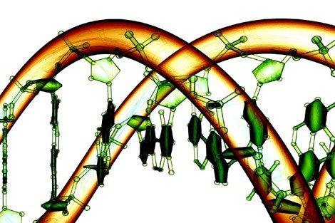 The DNA of public health