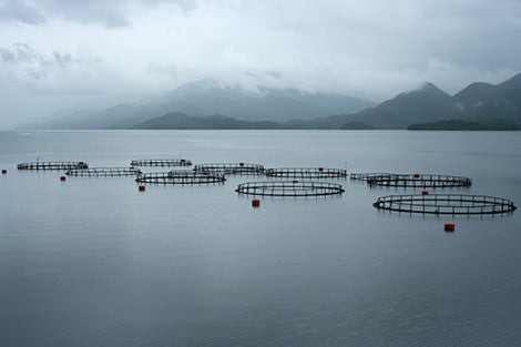 Fish farm in Chile's Canal Puyuguapi