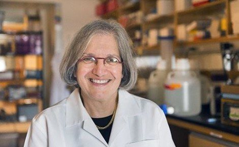 Dyann Wirth honored by American Society of Tropical Medicine and Hygiene