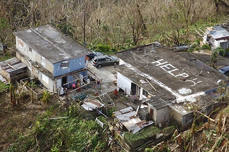 A public health disaster in Puerto Rico