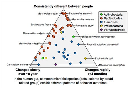 Thousands of new microbial communities identified in human body