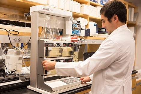 Ryan McCarthy,a postdoctoral fellow in Marianne Wessling-Resnick's lab, uses a fast protein liquid chromatography system