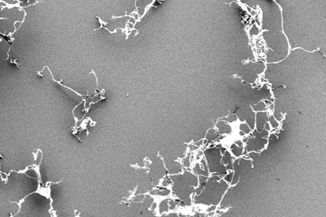 Could a nanofiber help fight the obesity epidemic?
