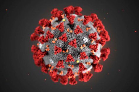 The latest on the coronavirus