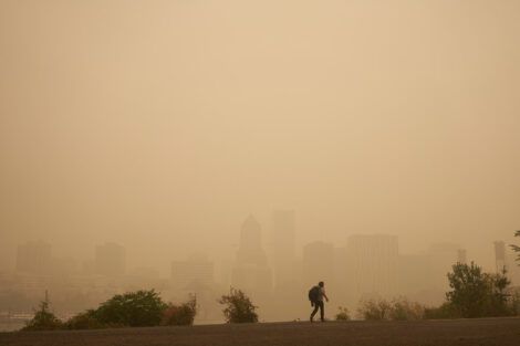Significant link found between air pollution and neurological disorders