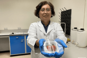 A researcher holds strawberries in "smart" packaging