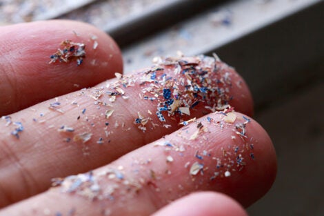 Microplastics may disproportionately harm vulnerable communities