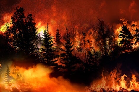 Wildfire risk requires proactive strategies, says U.S. commission