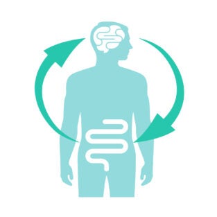 Gut-brain connection. Vector illustration Relation health of human brain and gut, second brain. Unity of mental and digestive. Vector flat cartoon illustration