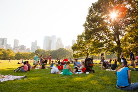 New York, New York, USA - July 10, 2011: People enjoying a beautiful summer day in Sheep Meadow, Central Park. The sun shines through the trees in the late afternoon. Sheep Meadow is a popular place for games, picnics and general relaxation. It gets its name from the fact that sheep were actually kept here up through the early part of the 20th century. The Manhattan skyline can be seen in the background.