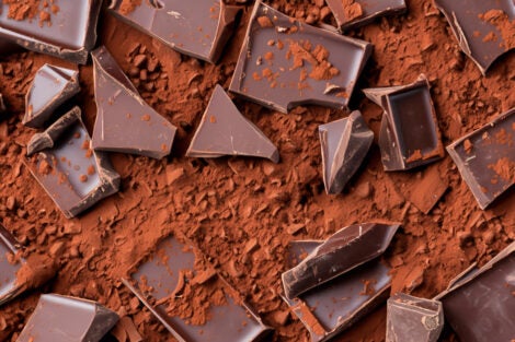 Pieces of dark chocolate and cocoa powder