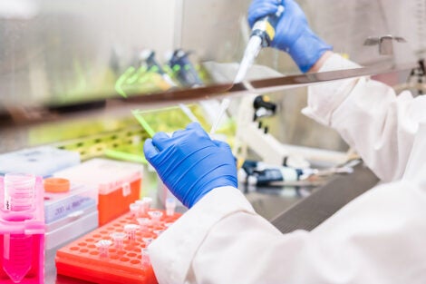 Report calls for regulations around dangerous pathogen research