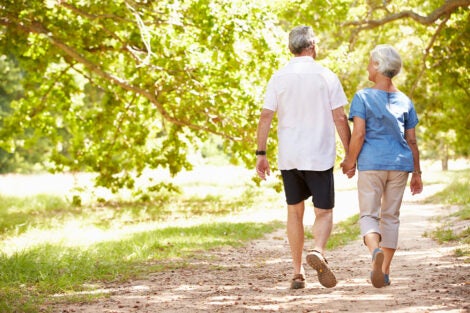 an elderly couple walking in the park while holding hands, viewed from behind