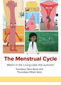 The Menstrual Cycle flyer
