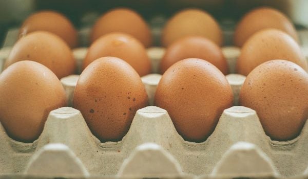 Brown eggs lined up in egg carton