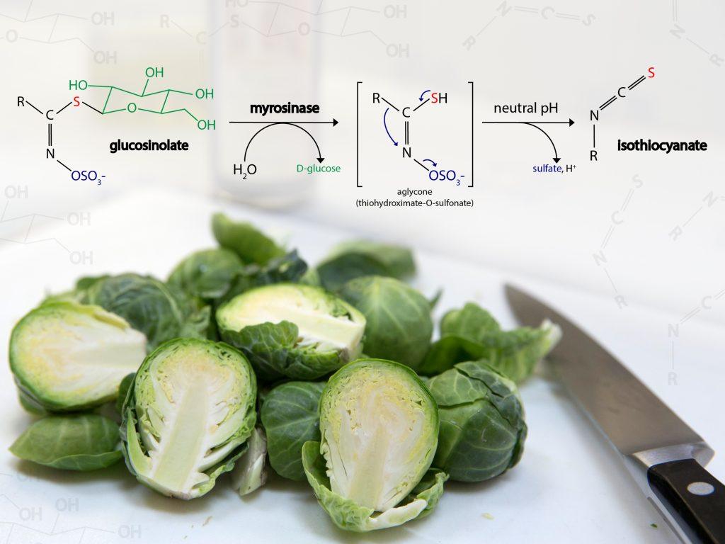 Chemical conversion of glucosinolate to isothiocyanate in Brussels sprouts