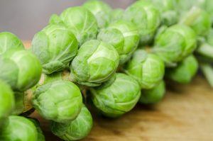 Brussels Sprouts on Stem
