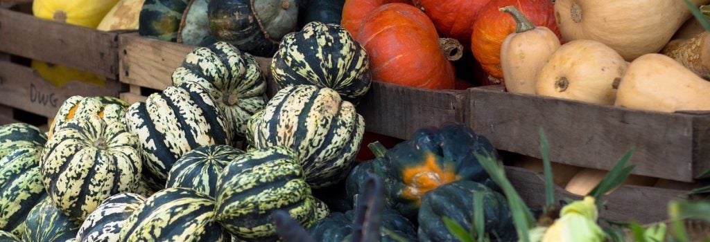 Varieties of winter squash at a farm stand