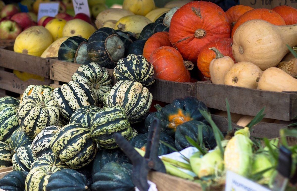 Varieties of winter squash at a farm stand