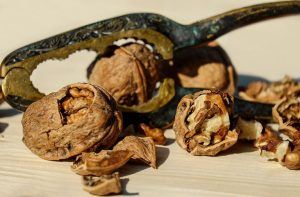 walnuts with nutcracker
