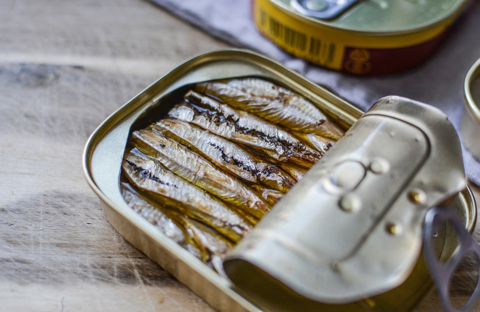 a can of sardines