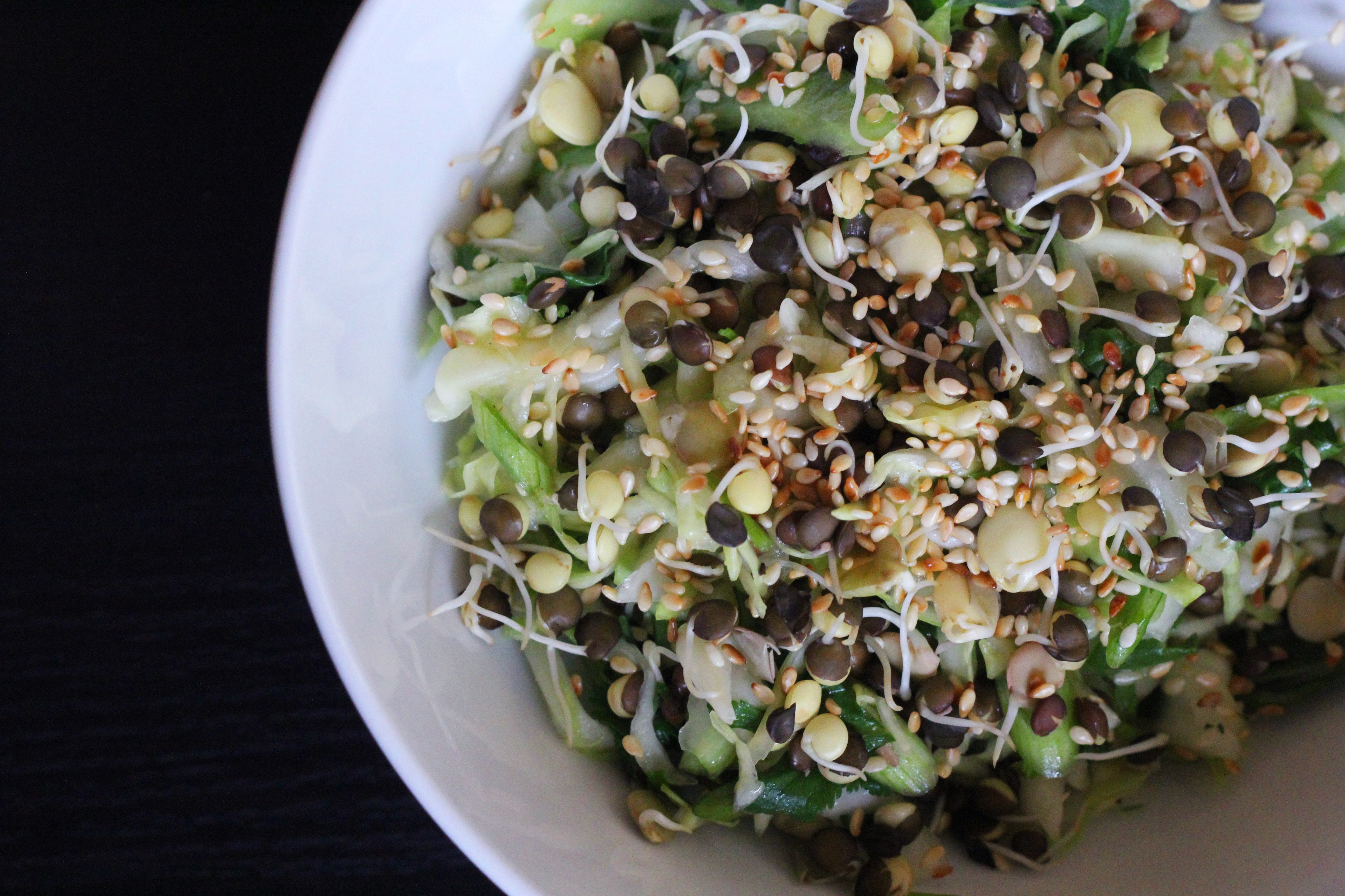 Slaw made with cabbage, sprouted lentils, celery, and a tangy dressing
