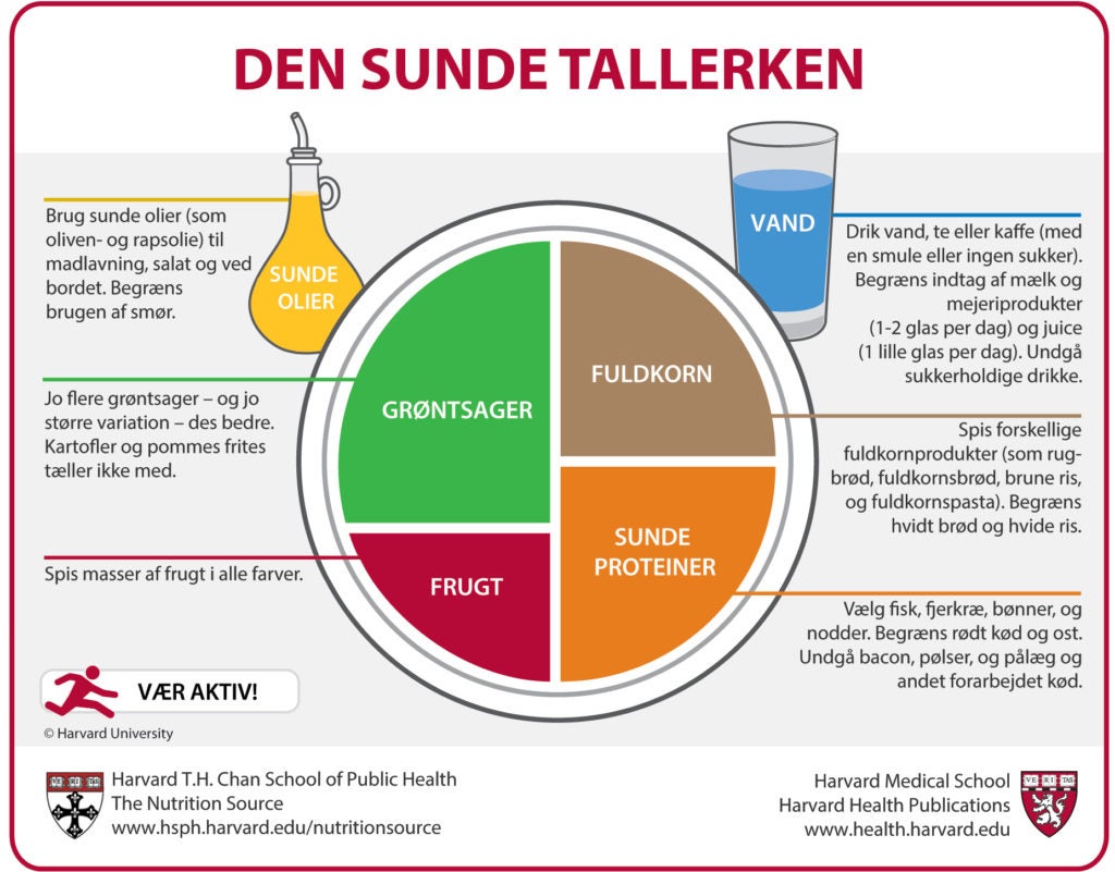 Den Sunde Tallerken (The Healthy Eating Plate, Danish Translation)