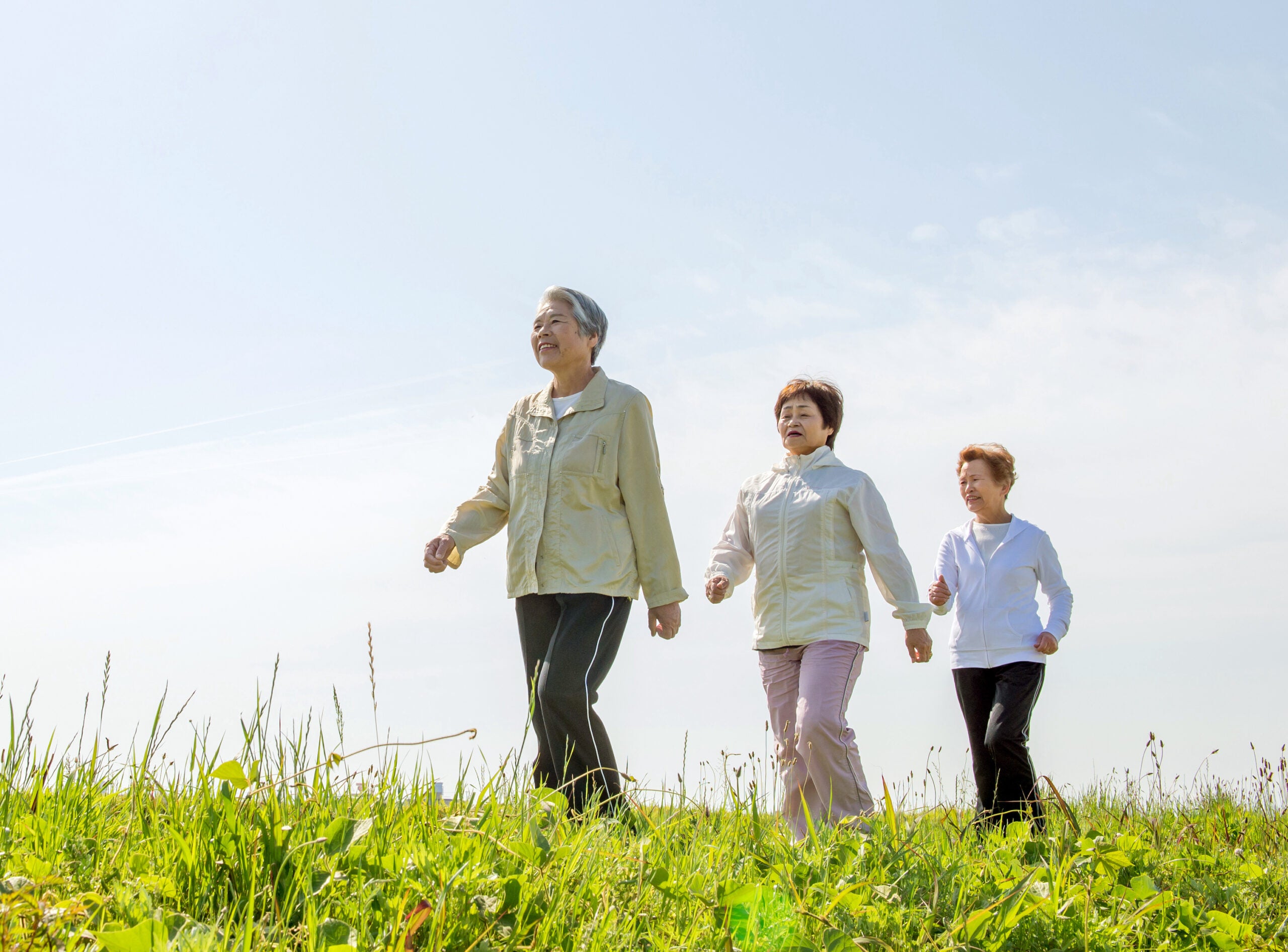 three women, older in age, walking up a grassy hill with blue sky behind them
