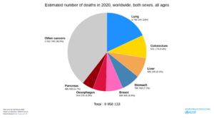 Pie chart showing estimated number of cancer deaths in 2020, worldwide