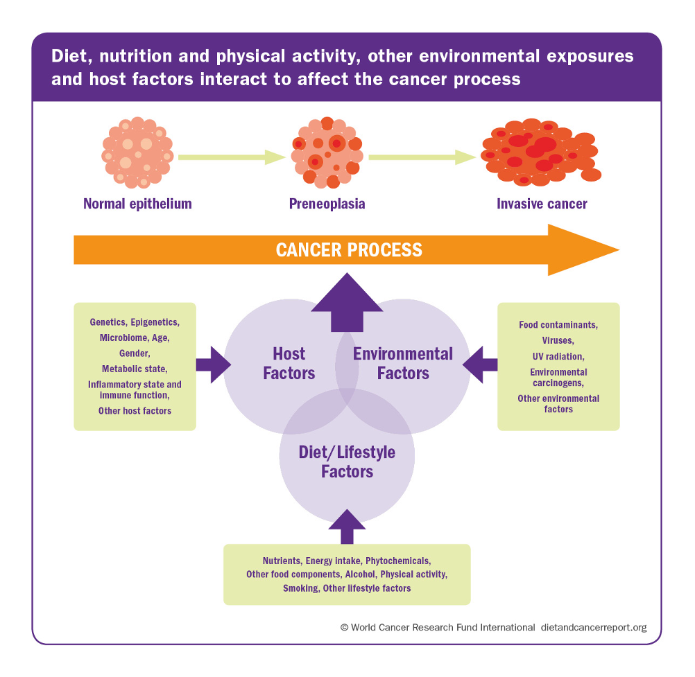 Figure 4: Diet, nutrition and physical activity, other environmental exposures, and host factors interact to affect the cancer process