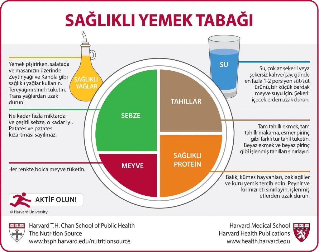 Turkish Translation of the Healthy Eating Plate